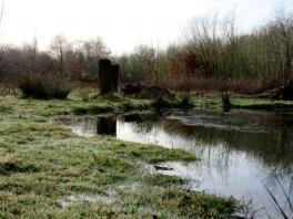 1602 The pond