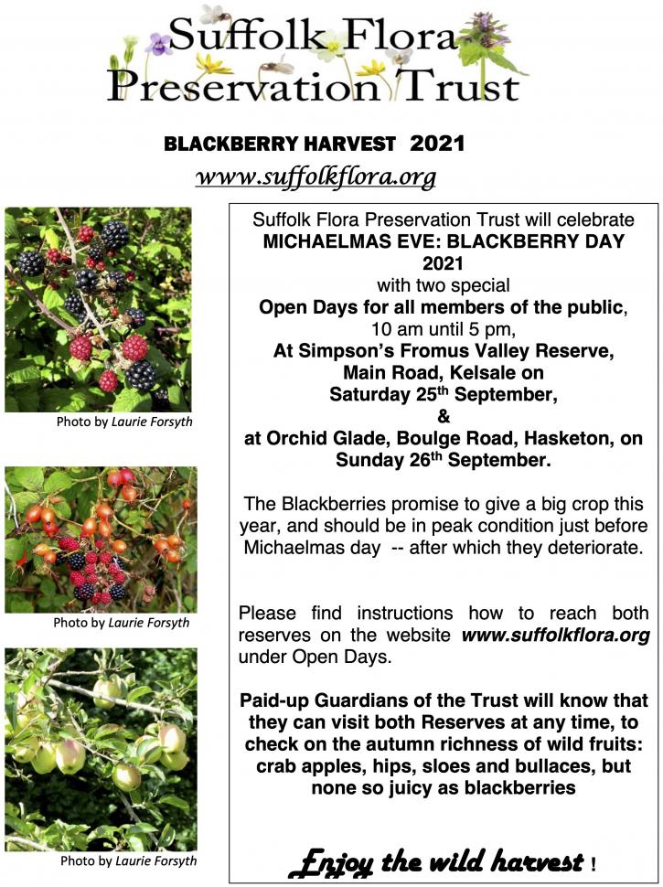 BlackberriedR2021 Harvest Open Days
