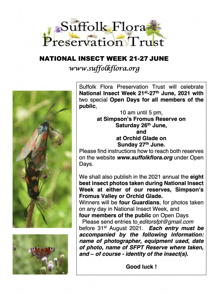 Insect week 21 27 June 2021